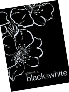 ôNORWALLϵ norwallֽȫ - ֽ ֽ ǽֽ ƷƱֽ Ʒǽֽ
            汾:Norwall Black and White