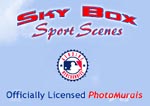 Sky Box Sport Scenes Photomurals of Major League Baseball Teams and Stadiums