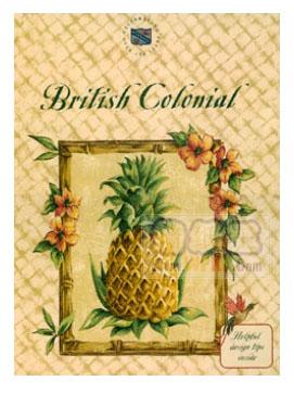 创彩世家 美国壁纸 美国墙纸 美国品牌壁纸 美国品牌墙纸
            图案名称:British Colonial